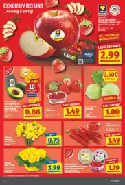 NP Discount Prospekt woche 4 Seite 2