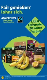 Lidl Prospekt woche 6 Seite 66