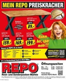 Repo Markt Prospekt woche 4 Seite 12