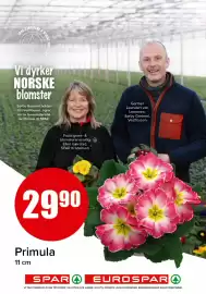 Spar kundeavis Side 14