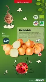 PENNY DE folder week 4 Pagina 7