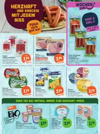 Basic Prospekt Seite 13