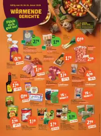 Basic Prospekt Seite 2