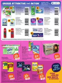 Basic Prospekt Seite 21