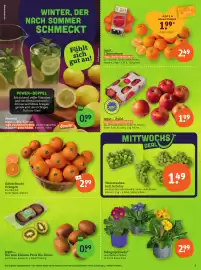 Basic Prospekt Seite 5