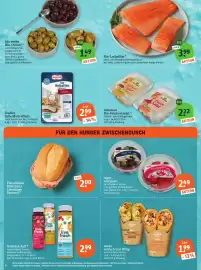 Basic Prospekt Seite 8