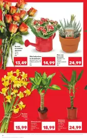 Catalog Kaufland săptămâna 4 Pagină 10
