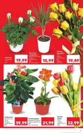 Catalog Kaufland săptămâna 4 Pagină 11