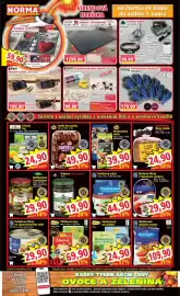 Norma leták týden 5 Strana 8