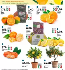 Volantino Ipercoop Pagina 5