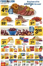Food Lion weekly ad week 3 Page 1