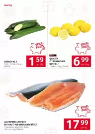 Transgourmet Flugblatt Seite 4