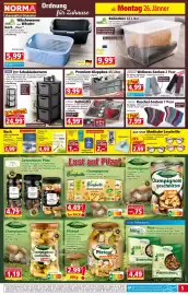 Norma Prospekt woche 5 Seite 5