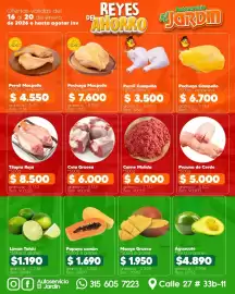 Catálogo Autoservicio El Jardín Página 2