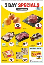 IGA catalogue Page 1