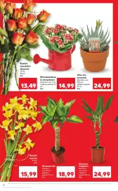 Catalog Kaufland săptămâna 4 Pagină 10