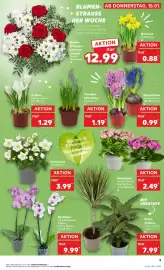 Kaufland Prospekt Seite 9