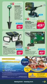 NETTO Prospekt woche 5 Seite 19