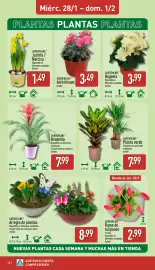 Folleto ALDI semana 5 Página 12