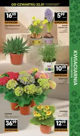 Delikatesy Centrum gazetka tydzień 4 Strona 39