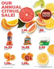 Hy-Vee weekly ad week 4 Page 9