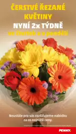 Penny Market leták týden 4 Strana 34