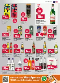 Terno leták týden 4 Strana 13