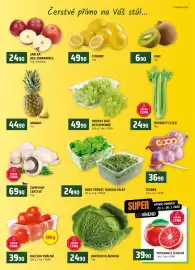 Terno leták týden 4 Strana 6