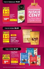 Biedronka gazetka tydzień 4 Strona 15