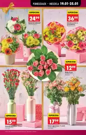 Biedronka gazetka tydzień 4 Strona 27