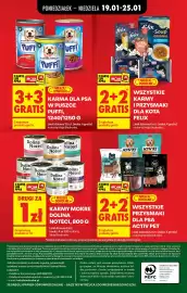 Biedronka gazetka tydzień 4 Strona 64