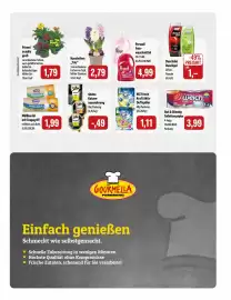 Feneberg Prospekt Seite 15