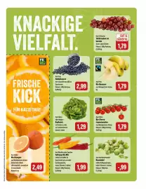 Feneberg Prospekt Seite 5