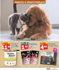 Topaz Express gazetka tydzień 4 Strona 21