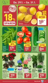 Aldi Nord Prospekt woche 5 Seite 29