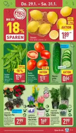 Aldi Nord Prospekt woche 5 Seite 29