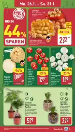 Aldi Nord Prospekt woche 5 Seite 3