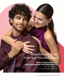 Catálogo Cristian Lay Página 3