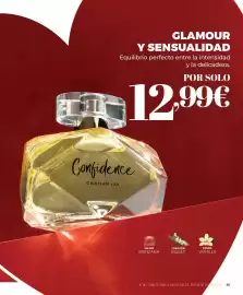 Catálogo Cristian Lay Página 61