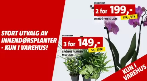 Bauhaus kundeavis uke 4 Side 3