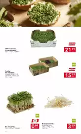 Transgourmet Flugblatt Seite 14