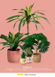 Xenos trendmagazine Pagina 12