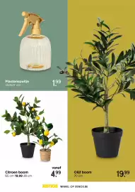 Xenos trendmagazine Pagina 27