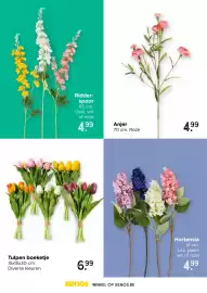 Xenos trendmagazine Pagina 74