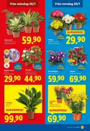 Lidl reklamblad vecka 5 Sida 20