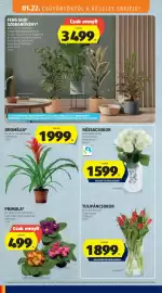 ALDI akciós újság hét 4 Oldal 4