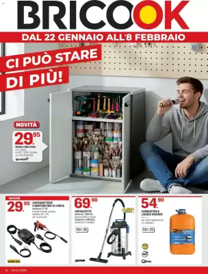 Volantino Brico OK (valido fino al 8-02)