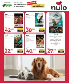 Volantino Arcaplanet Pagina 11