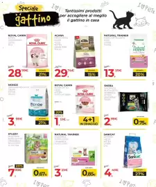 Volantino Arcaplanet Pagina 22