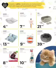 Volantino Arcaplanet Pagina 23